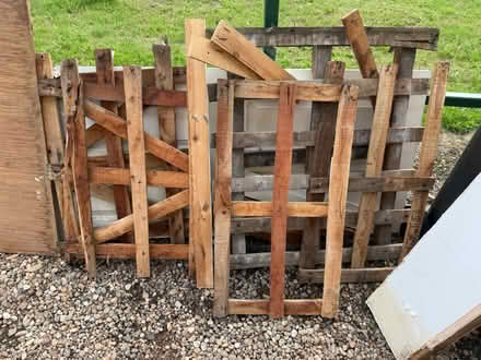 Photo of free wood (NG16) #2