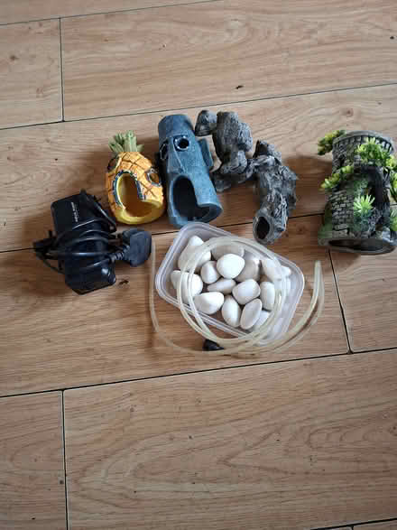 Photo of free Fish tank accessories (Kidderminster DY11) #1