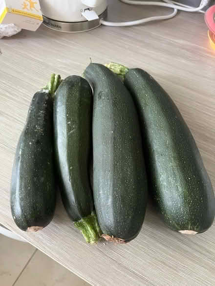 Photo of free Courgettes (Hampden Park BN22) #1