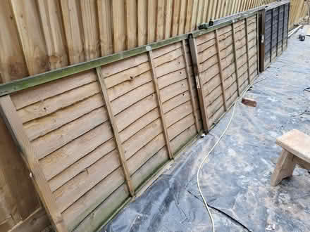 Photo of free 6 fence panels (Temple Street OX4) #1