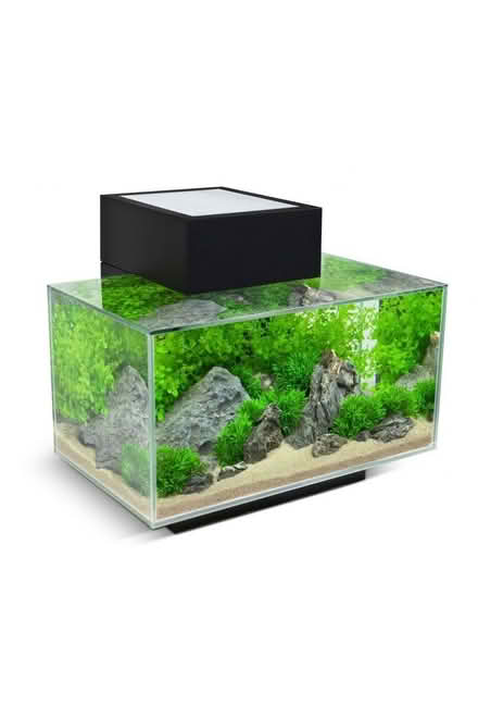 Photo of free Fluval Edge Aquarium 23 litre (Formby Village) #2