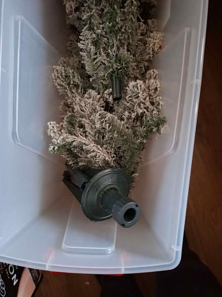Photo of free Snowy Xmas tree (Tuckswood NR4) #2