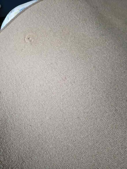 Photo of free High quality large rug (Tooting SW17) #3