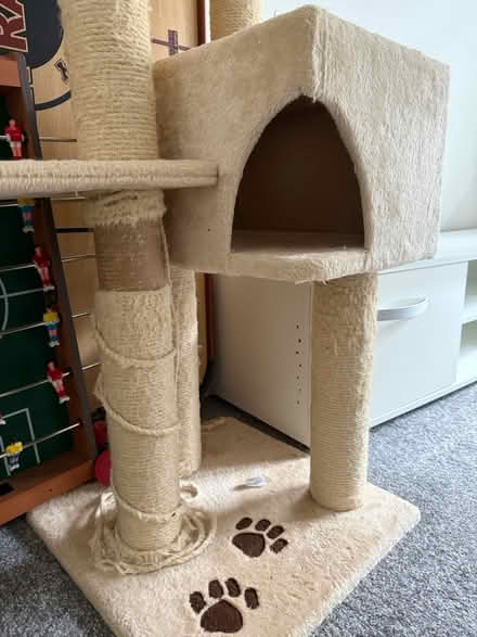 Photo of free For cat (Bucklands Road, TW11) #2