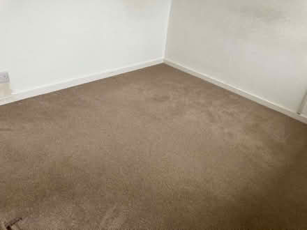 Photo of free Bedroom Carpet (Cookridge LS16) #2