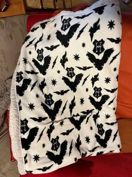 Photo of free Harry Potter fleece blanket (Woodside CR0) #1