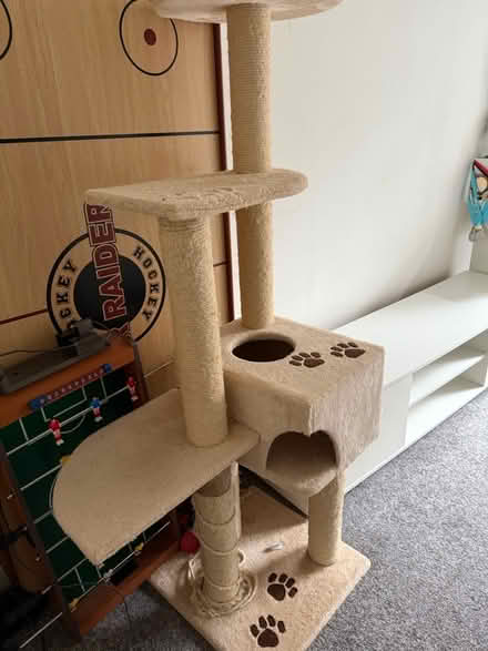 Photo of free For cat (Bucklands Road, TW11) #1