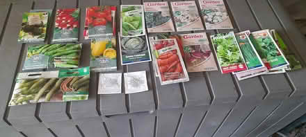 Photo of free Seeds (TN40 bexhill) #2