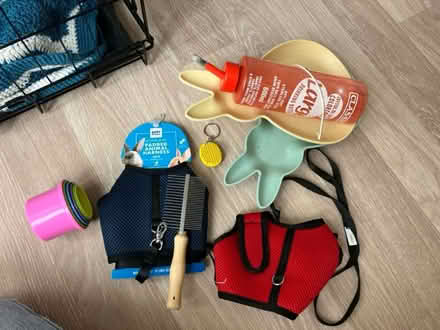 Photo of free Rabbit toys and accessories (Bath, odd down) #1