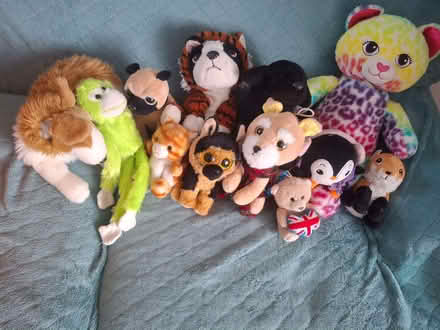 Photo of free Plush toys (Penrith CA11) #1