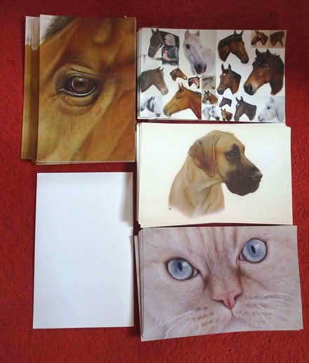 Photo of free Large Blank Postcards (Upper Radley OX14) #1