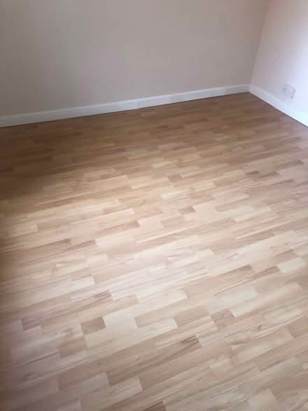 Photo of free Laminate oak flooring (SY3) #1