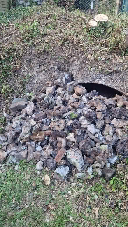 Photo of free Hardcore (Purley) #1