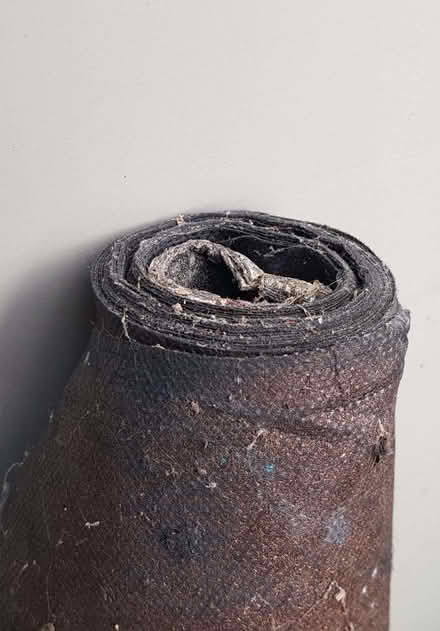 Photo of free Weed control (Stubbington PO14) #2