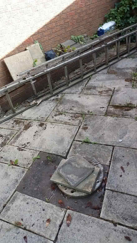 Photo of free Extension ladders (Standish WN6) #2