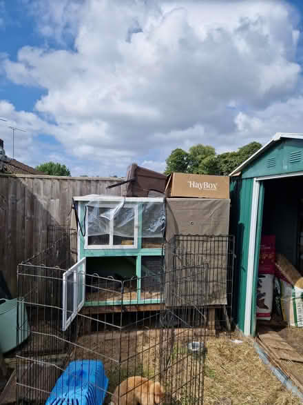 Photo of free insulated rabbit hutch cover (Fromefield BA11) #1