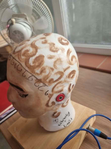 Photo of free Binaural Stereo Microphones For Realistic Recording AMSL (TN23) #4