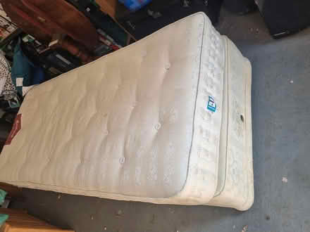 Photo of free Single bed (West Pennard BA6) #1