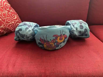 Photo of free Water wings (Riverside/Hunt Club) #2