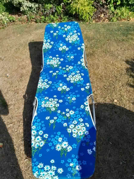 Photo of free Folding sun bed (TQ1 Wellswood area.) #2
