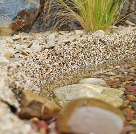 Photo of free OASE Real Granite Pond Liner 6M x 0.6M (Hartwood Green PR7) #2