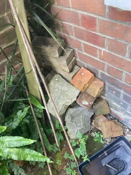 Photo of free Bricks (RG1) #2