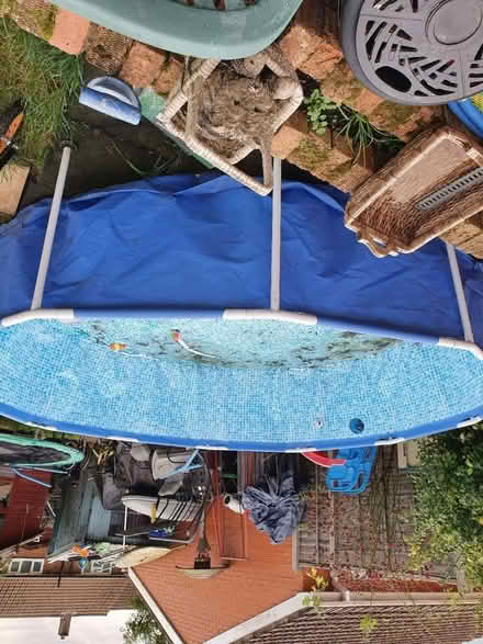 Photo of free Large swimming pool (Northolt UB5) #1