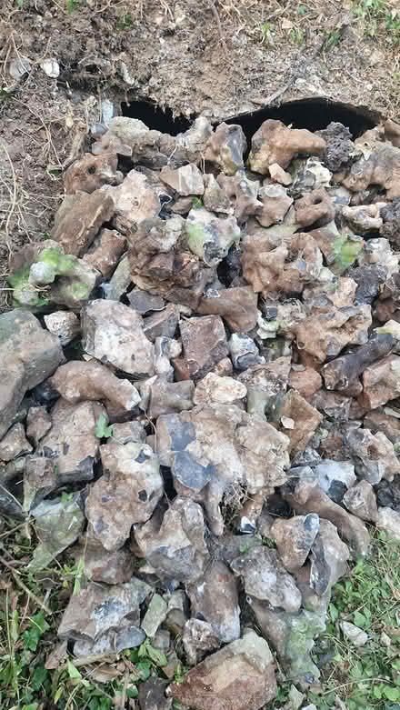 Photo of free Hardcore (Purley) #3