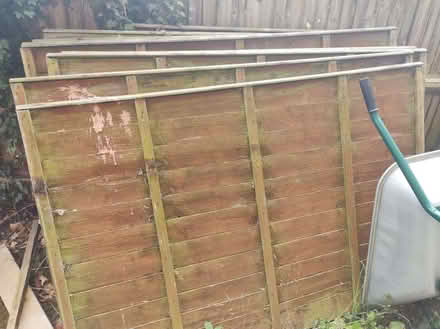Photo of free Fence panels (Bungay NR35) #1