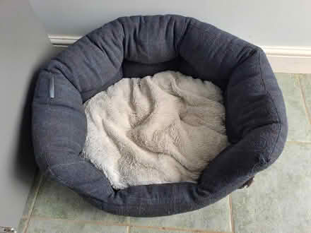 Photo of free Medium size dog bed (Battle TN33) #1