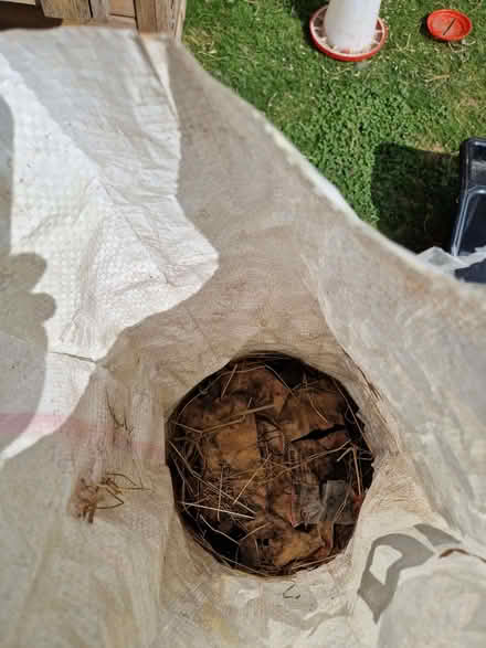 Photo of free half a bag of bbq charcoal (Fromefield BA11) #1