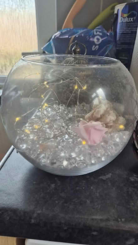 Photo of free Decorative glass bowl (Bellingham SE6) #1