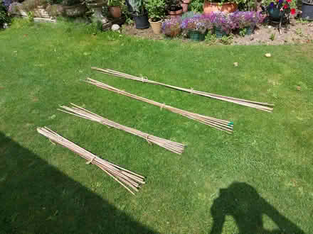 Photo of free Garden canes (Hitchin SG4) #1