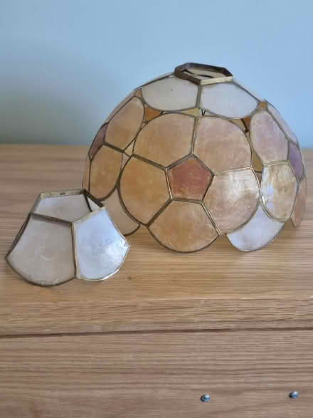 Photo of free Tiffany Style Ceiling Light Shade (Portishead BS20) #2