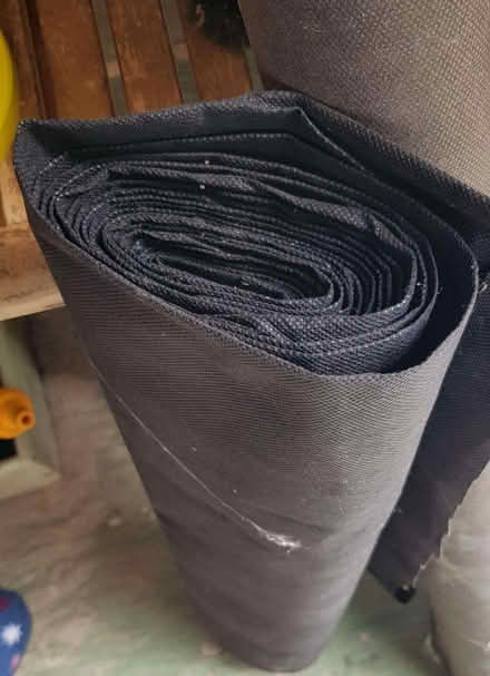 Photo of free Weed control (Stubbington PO14) #3