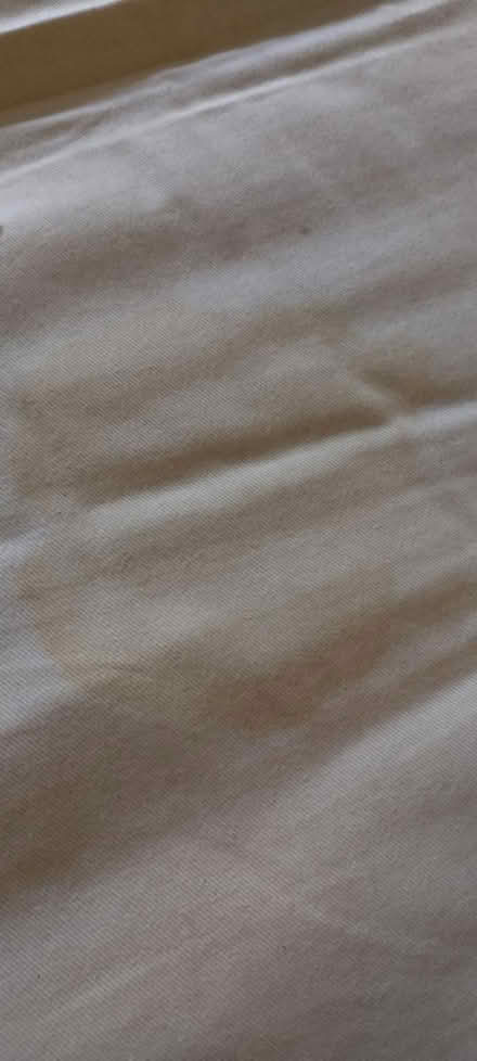 Photo of free Single Bed + Mattress (Newington Green N5) #3