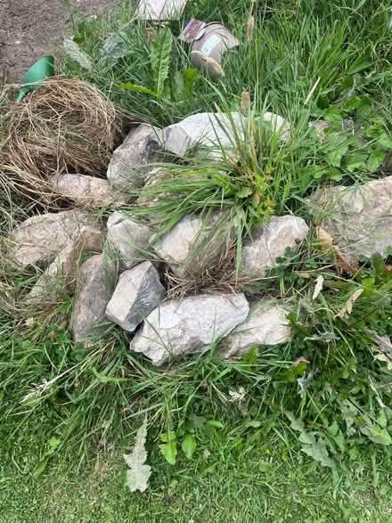 Photo of free Various rocks (Saltney Ferry CH4) #1