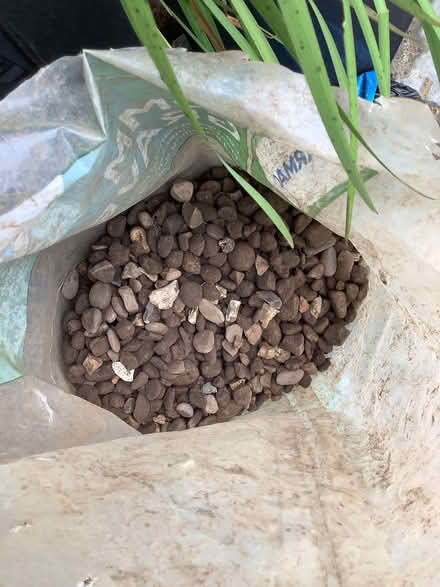 Photo of free Pebbles (Caton LA2) #1