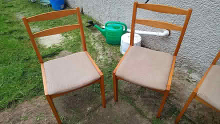 Photo of free 4 dining chairs. (Warton LA5) #3