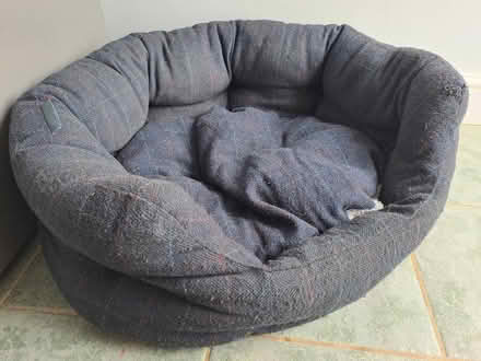 Photo of free Medium size dog bed (Battle TN33) #2