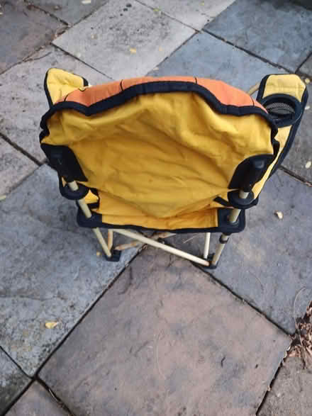 Photo of free Kids folding chairs -lion & dino (Eltham, SE9) #4