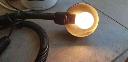 Photo of free Flexible light (Stubbington PO14) #2