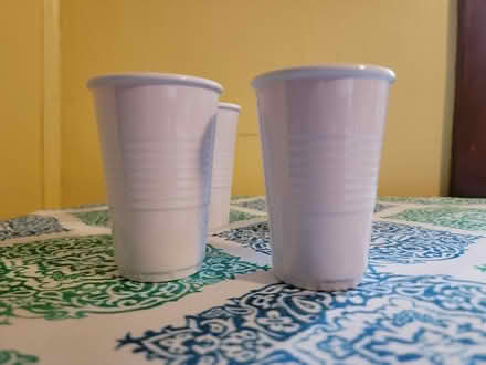 Photo of free 4 Orange & White Cups (West 7th) #2