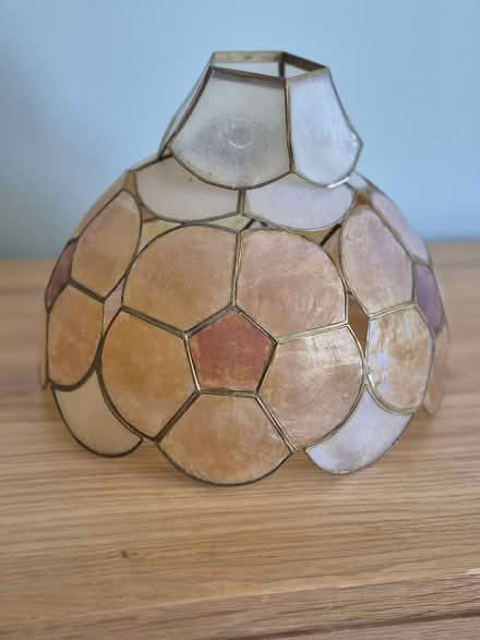 Photo of free Tiffany Style Ceiling Light Shade (Portishead BS20) #1