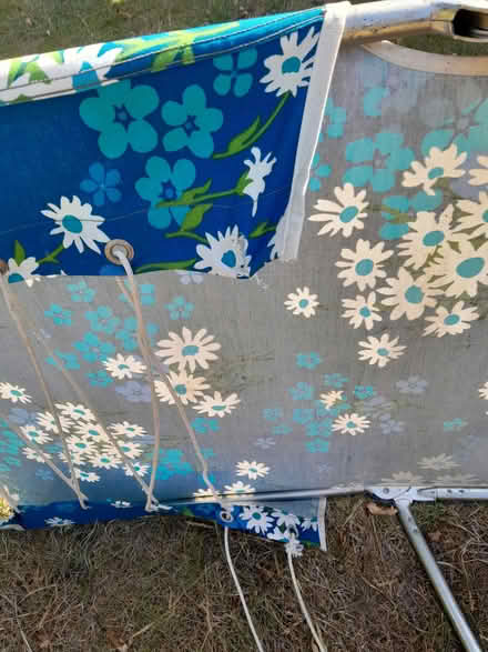 Photo of free Folding sun bed (TQ1 Wellswood area.) #1