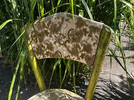 Photo of free Vintage parlor chairs (ViewRidge) #2