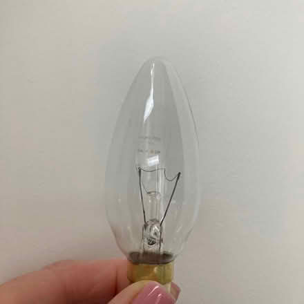 Photo of free Light bulbs (Emlyn Gardens W4) #2