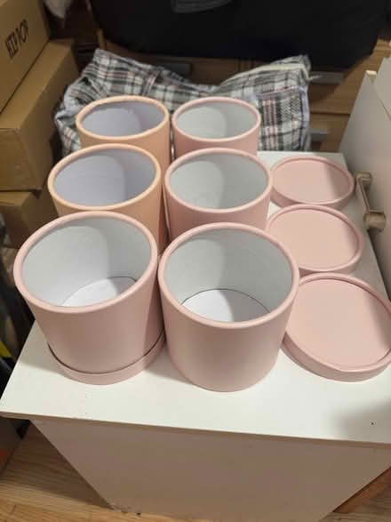 Photo of free Cardboard pots (Witney OX28 Deer Park) #1