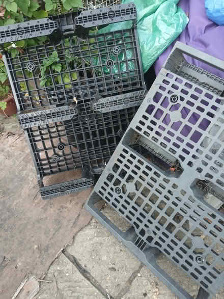 Photo of free 4 Pallets (Thornton heath) #1