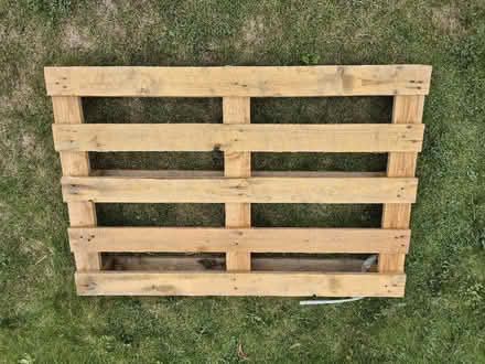 Photo of free Single wooden pallet (Sheering CM22) #1